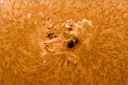 Sun-H-Alpha_231014_164256.jpg